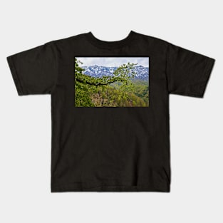 Springtime landscape through forest Kids T-Shirt